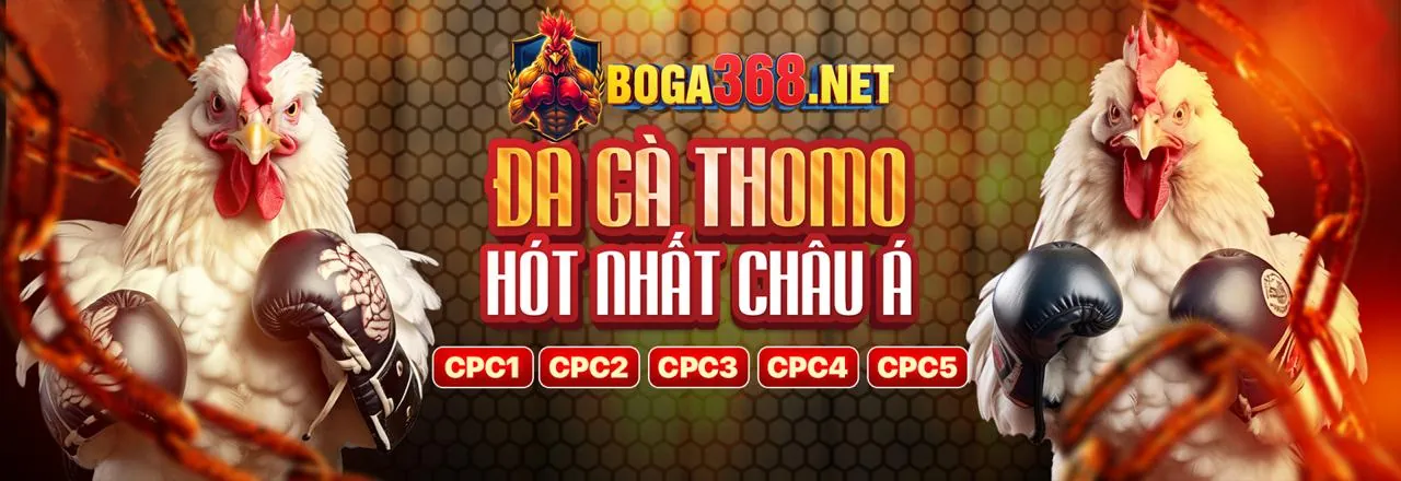 Các trò chơi bài truyền thống và hiện đại