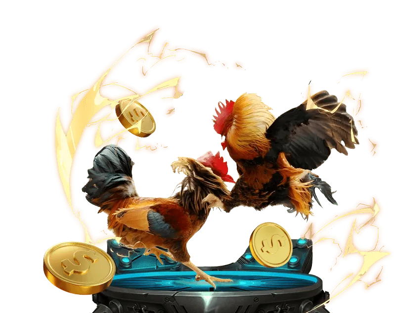 Cookie là gì và chức năng của chúng trên B29