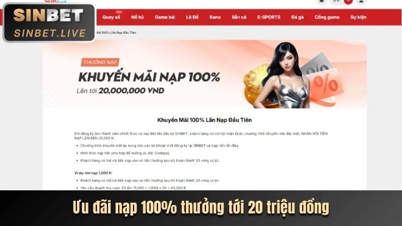 Lợi ích khi trở thành thành viên Betvip